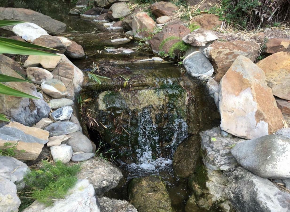 Jardines De Las Golondrinas Marbella Kültér fotó